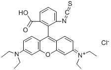 36877-69-7   羅丹明B異硫氰酸酯  RHODAMINE B ISOTHIOCYANATE