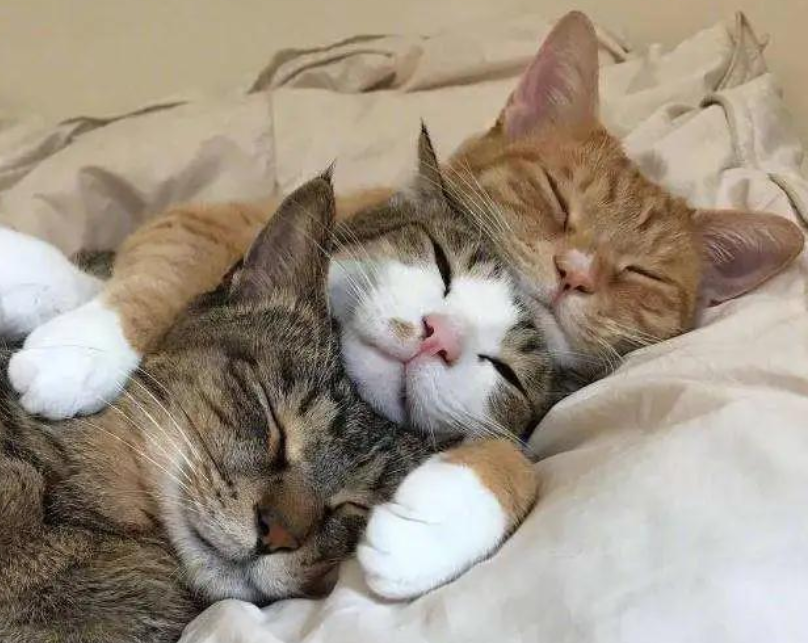 1621923620(1).png 1621923620(1).png