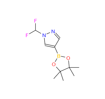 CAS：1206640-82-5，1-(二氟甲基)-4-(4,4,5,5-四甲基-1,3,2-二氧硼雜環(huán)戊烷-2-基)-1H-吡唑 