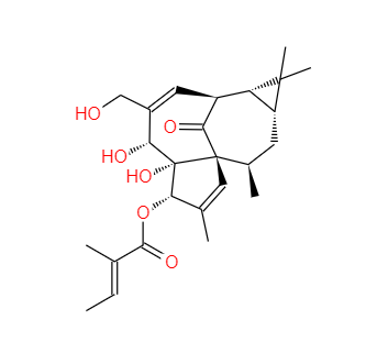 CAS：75567-37-2，巨大戟醇-3-O-當(dāng)歸酸酯(巨大戟醇甲基丁烯酸酯)