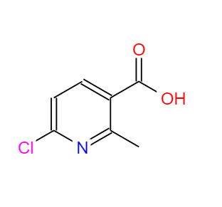 CAS：137129-98-7，6-氯-2-甲基煙酸 